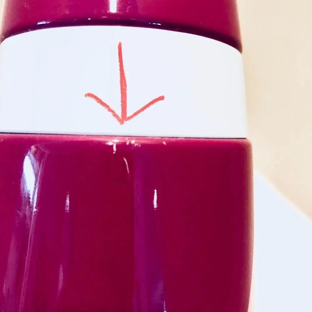 Vintage Starbucks Purple Bullet Thermos 2006